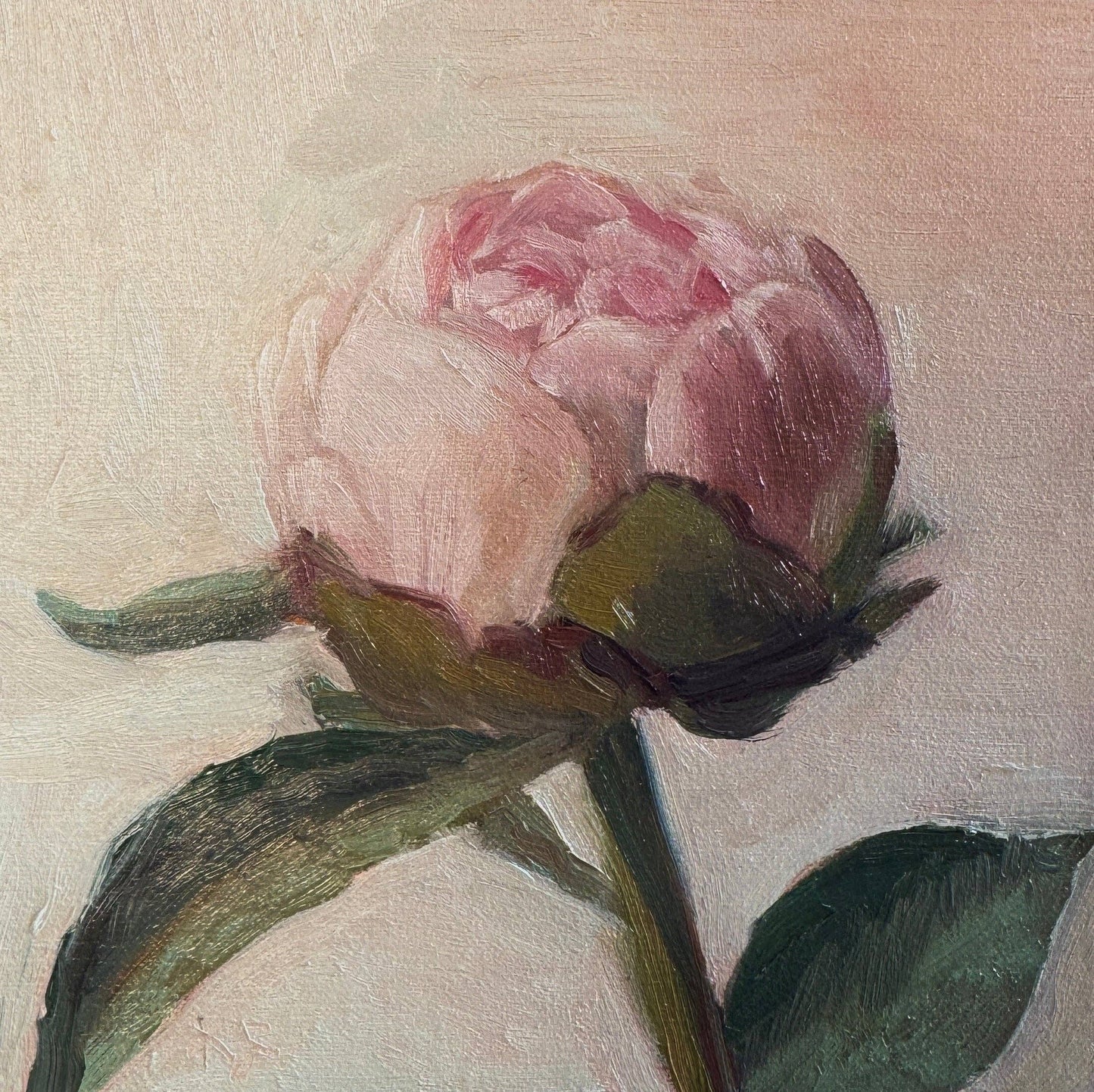 "A Simple Peony": 3x3