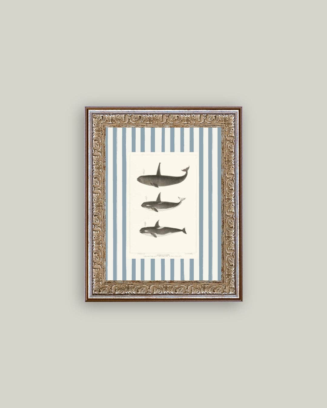 Whales on Stripes Framed Antique Art: 5x7