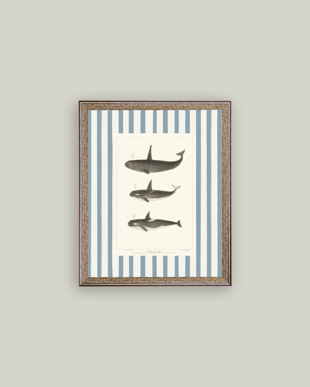 Whales on Stripes Framed Antique Art: 5x7