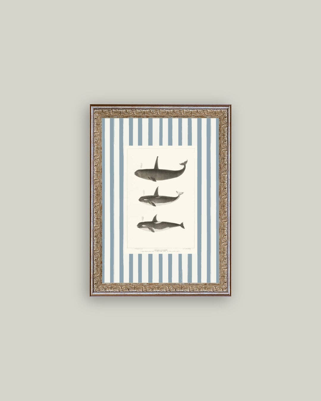 Whales on Stripes Framed Antique Art: 5x7