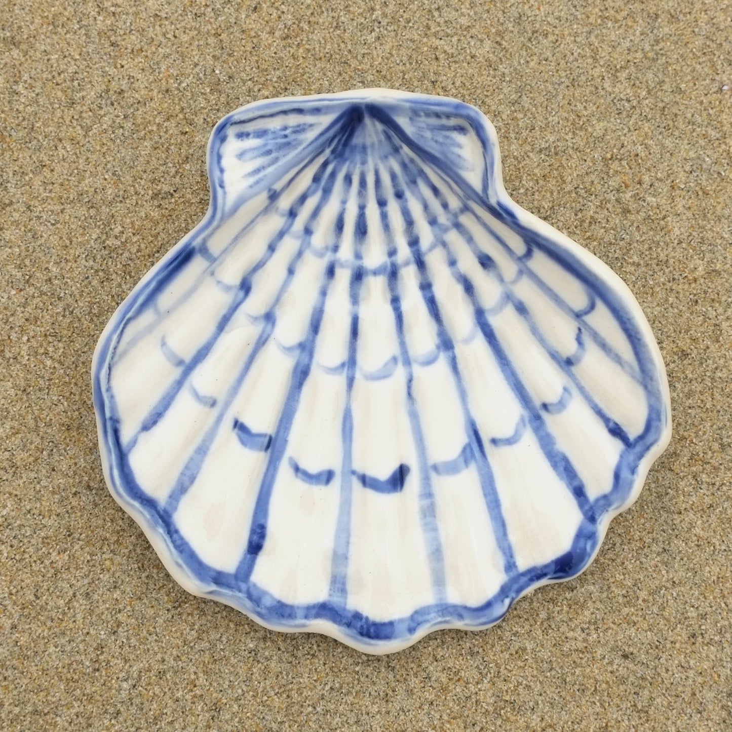 REX SEAS SHELL