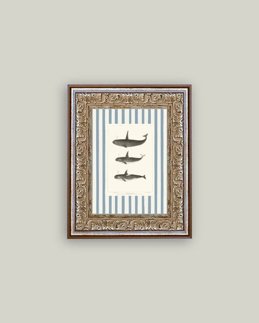 Whales on Stripes Framed Antique Art: 5x7